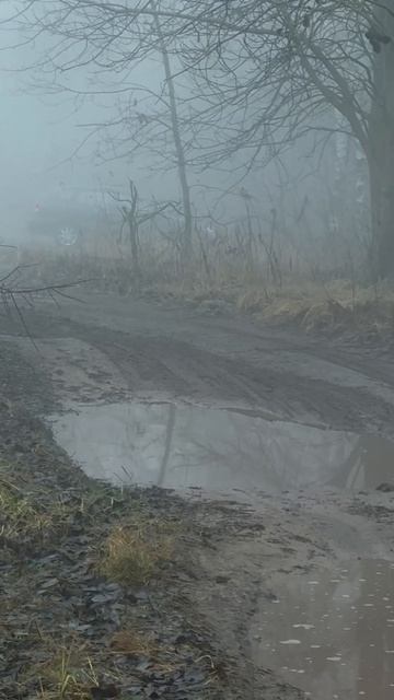 Фидерная рыбалка смотреть онлайн