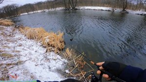 Лучшие проводки для ловли окуня, щуки и судака! ТОП