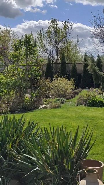 30 апреля  в нашем саду