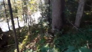 Pogoda v Sibiri Летняя природа Сибири