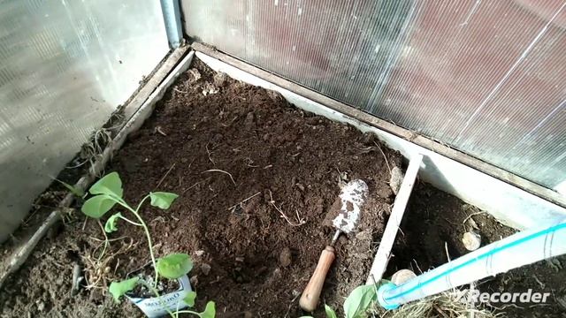 Земля в теплице. смотреть онлайн