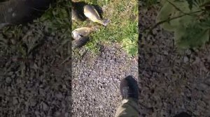 Рыбалка в Елизаветино