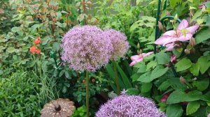 Декоративный лук Гладиатор (Gladiator)