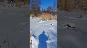 Прокудские мосты Тамбовская область. Слияние двух рек