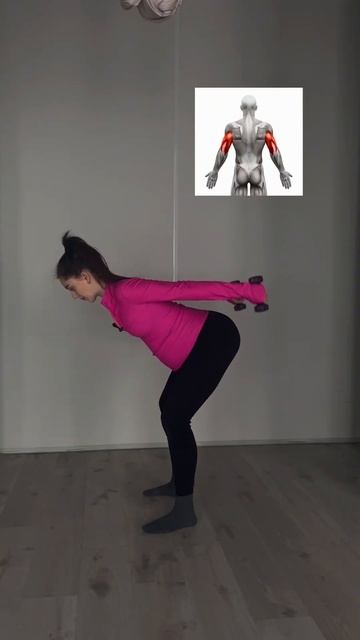 Французский жим, разгибание рук на трицепс, техника вы смотреть онлайн