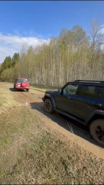 Экскурсия по тайге. Платно😄 #тайга #охота #рыбалка #пр? смотреть онлайн