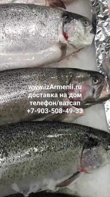 Здравствуйте Друзья! Завтра 27.03.24 г форель радужную, си смотреть онлайн