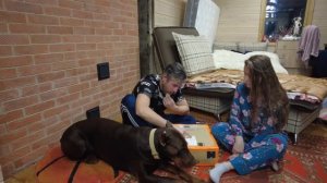 Посылка из Германии