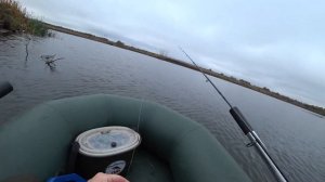 Рыбалка на Кружки Осенью. Ловля щуки на живца и джиг