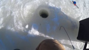 Ловля ЛЕЩА по последнему льду! Рыбалка на Оке 2024!