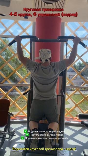 #хозяинтела #тренировка #круговаятренировка #упражнен смотреть онлайн