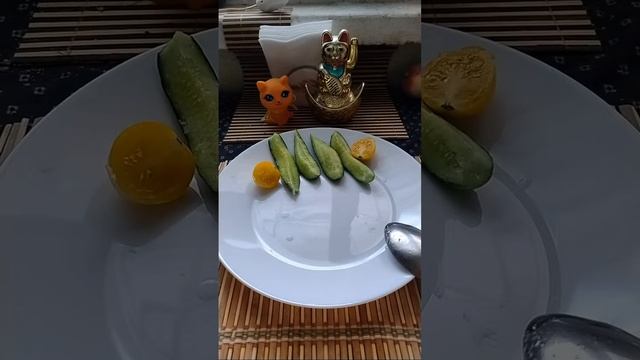 Вкусно и быстро весело СВ готовим и едим