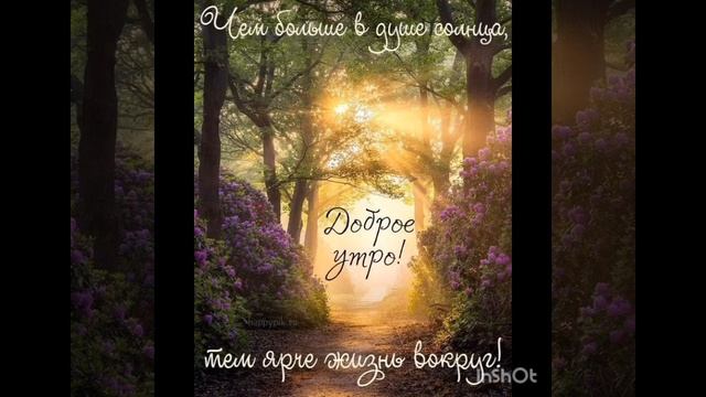 ПРИКОЛЫ И ПОЖЕЛАНИЯ