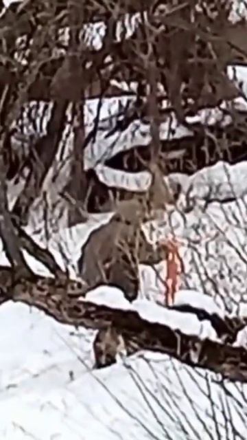 Старики рыбаки не сдаются.Приколы на рыбалке. смотреть онлайн