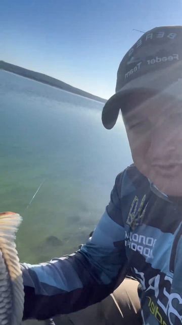 трофей КОРОП#daiwa #лящ #beregfeederfishing #короп #рекомендации #ф смотреть онлайн