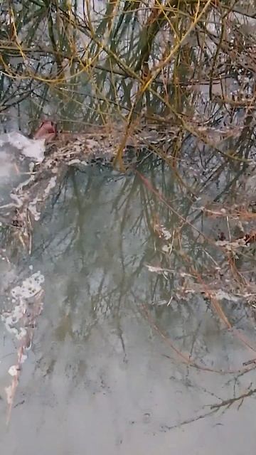 11 января 2025 г. смотреть онлайн