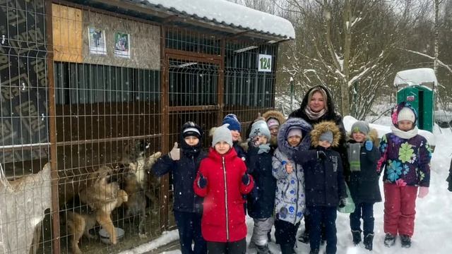 Дай лапу! Благотворительная акция "Добросердечие"