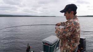 Ловля окуня на реке Воронья