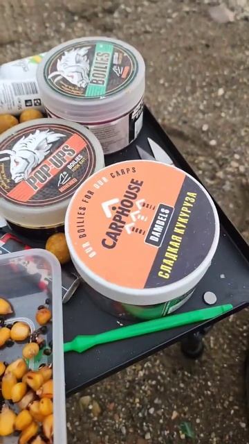 рыбалка на Амуре в паводок, рыба не пострадала))) смотреть онлайн