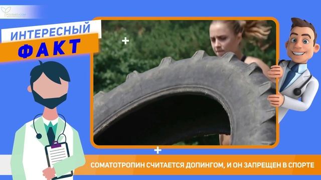 Всё о гормоне роста или соматотропный гормон - от норм?