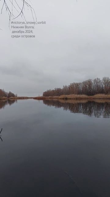 #природа #рекаволга #декабрь #красотаприроды #остров #в смотреть онлайн