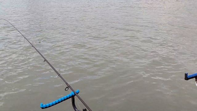 Рыбалка на Кубани в рабочий день. смотреть онлайн