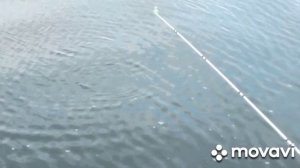 8.09.2024г. Чаны, Шаитик...