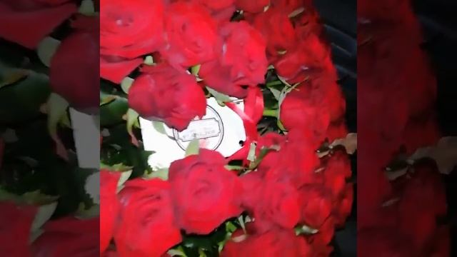 КУПИТЬ ХРИЗАНТЕМЫ В ШЛЯПНОЙ КОРОБКЕ. ЦВЕТЫ В ФИРМЕННЫ? смотреть онлайн