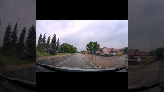 случай на дороге #засада #интересно #дорога #животные #? смотреть онлайн