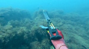 Подводная охота Чёрное море Меганом #spearfishing #подводна?