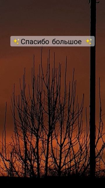 ✨для меня вы самое большое что есть ✨ смотреть онлайн