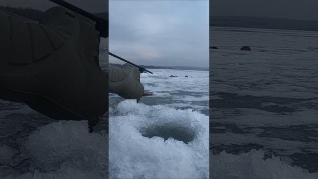 ПОПАЛ НА РАЗДАЧУ ОКУНЯ! ШОК ЗИМНЯЯ РЫБАЛКА #зимняярыба смотреть онлайн