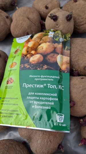 Утренние огородные дела 13 мая.