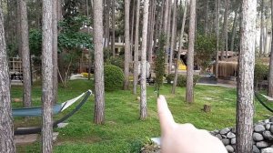 Обзор Amara club Marine 🇹🇷 2019г.