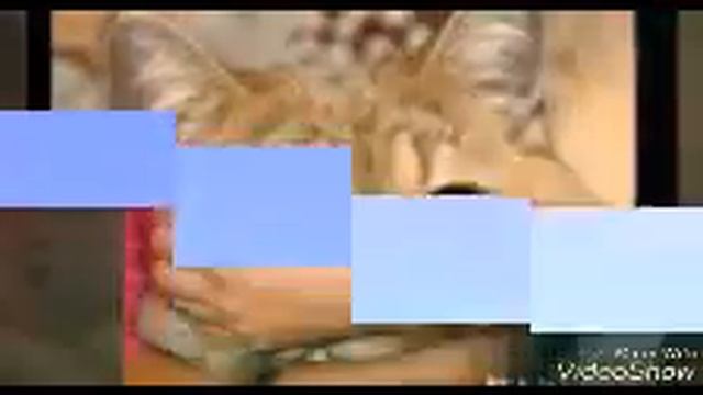 Классные картинки. смотреть онлайн