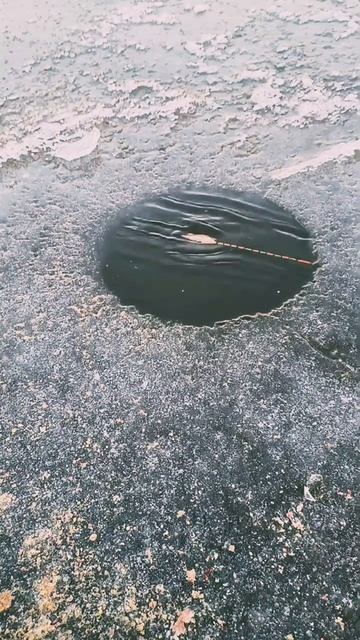 Хитрый поплавок для зимней рыбалки