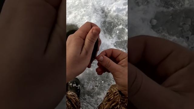 Правильная насадка. И правильная намотка лески. Рыбал?