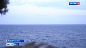 ВЕСТИ КРЫМ: выпуск 13.05.2025 09:30