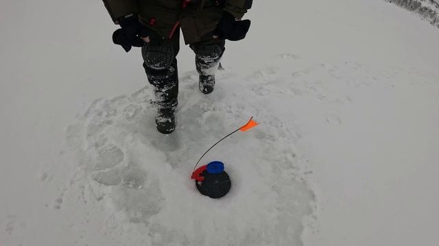 РЫБА В ТУНДРЕ НАЧАЛА ШЕВЕЛИТЬСЯ И ЛОВИТСЯ / WINTER FISHING смотреть онлайн
