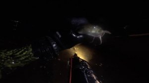 Подводная охота на Ладожском озере. Нарезка с летних п