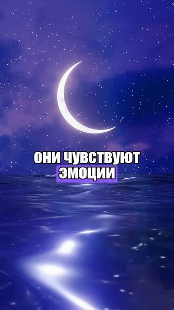 🎣 КТО КОРОЛЬ ХИТРОСТИ В ЗОДИАКЕ? ТАЙНА, О КОТОРОЙ МОЛЧ смотреть онлайн