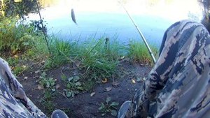 Рыбалка в Санкт-Петербурге на херабуну