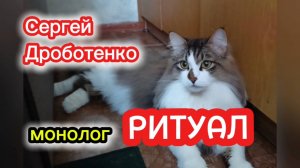СЕРГЕЙ ДРОБОТЕНКО лучшее