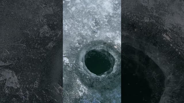 ЩУКА НА ЖИВЦА в МАРТЕ 2025!! #рыбалка #зимняярыбалка #fishing смотреть онлайн