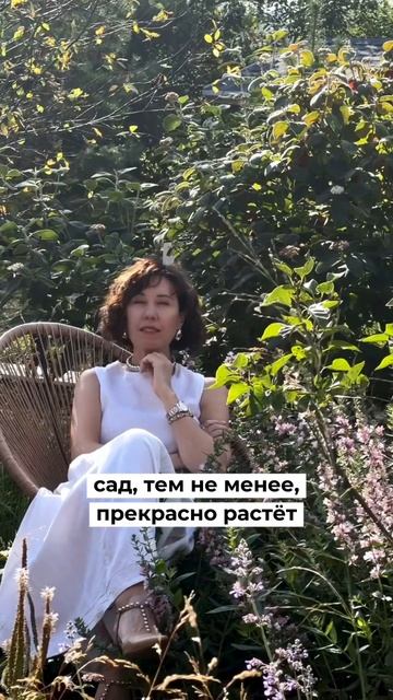 Как создать малоуходный сад уже в этом году без перепл