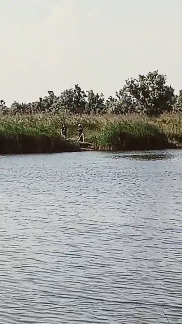 Рыбалка Ютуберы Голубицкая смотреть онлайн