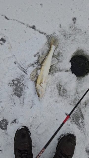 Сегодня тебе не повезло! смотреть онлайн