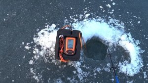 Отличный клёв судаков по первому льду! Рыбалка с эхоло
