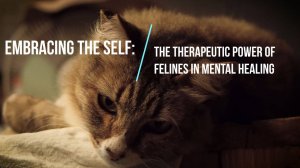 Story # 46:  Embracing the Self  The Therapeutic Power of Felines in Mental Healing