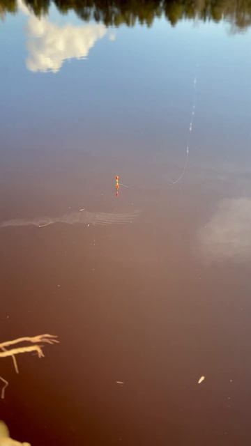 Весна, запрет открылся, поплавок достали из под слоя п? смотреть онлайн